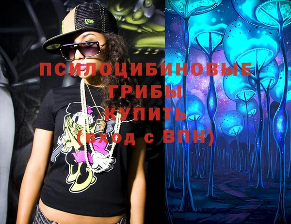 хмурый Алексеевка