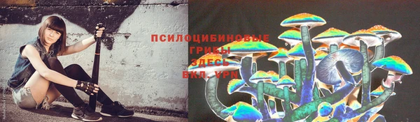 хмурый Алексеевка