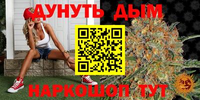индика Обь