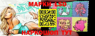 индика Обь