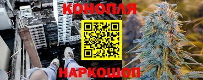 индика Обь