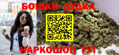 индика Обь
