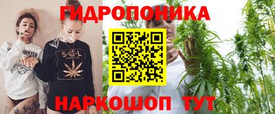 a pvp Обнинск