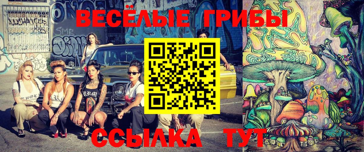 Строитель  что такое   Вход с VPN  Галлюциногенные грибы Psilocybe 